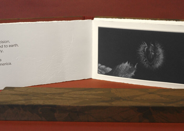 ODE TO A CHESTNUT ON THE GROUND